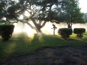 Trabajo en espacios públicos de Pujato